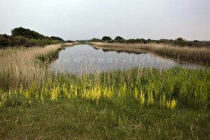 _MG_9399b